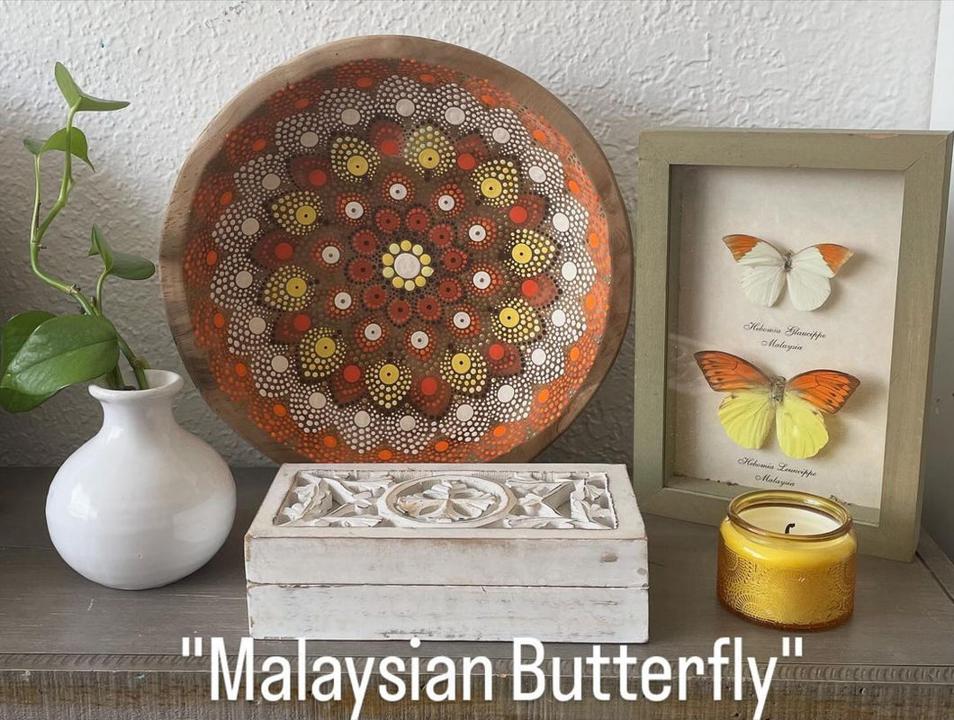 Malaysian Butterfly